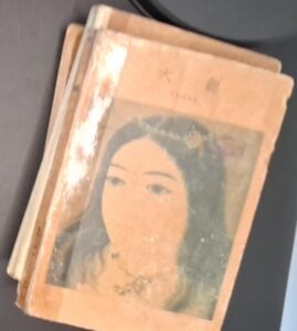 Taikan — front cover