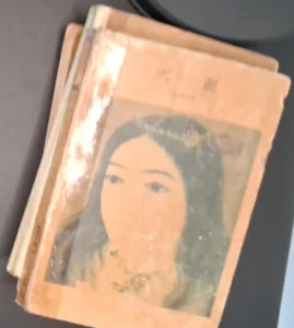 Taikan — front cover